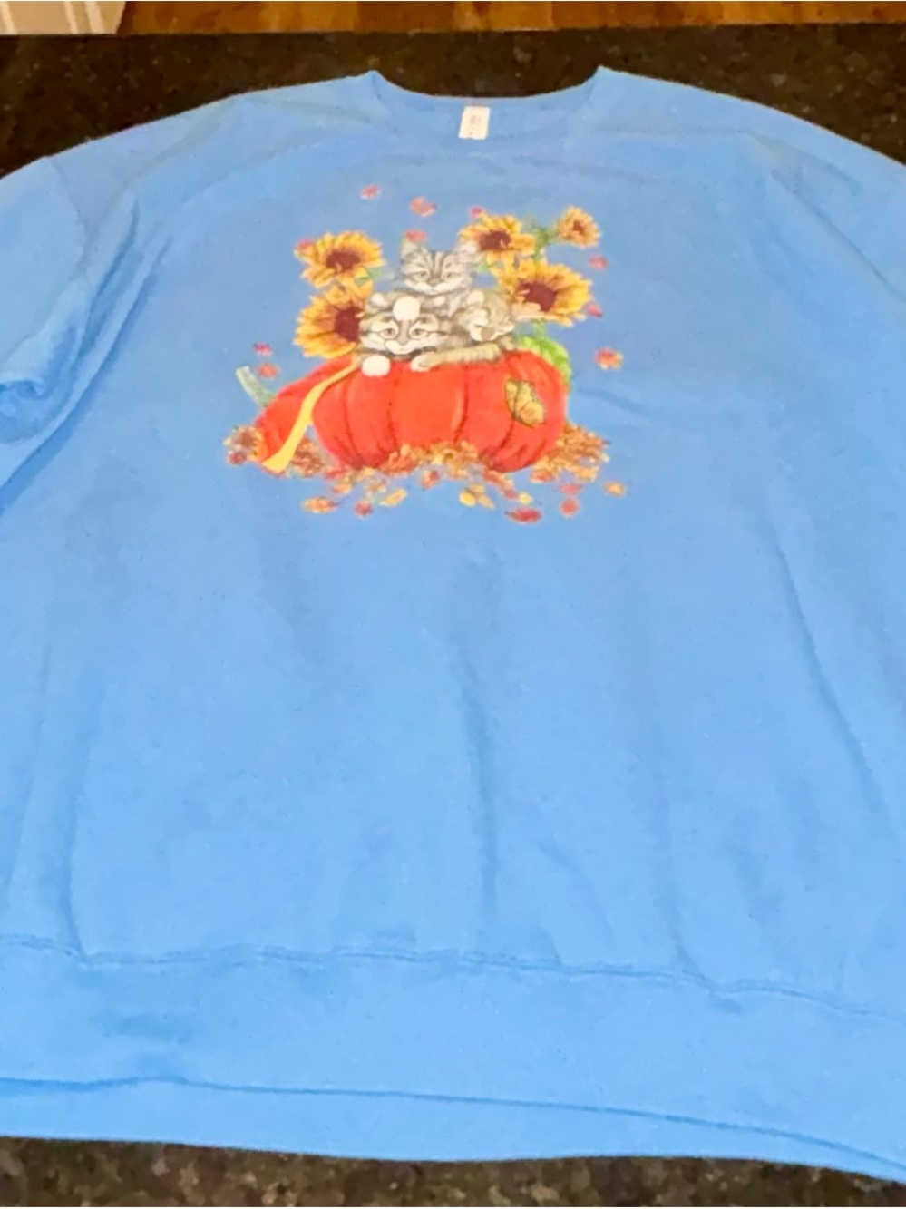 Jerzees Light Blue Kids Sweatshirt with Pumpkin, Kittens & Sunflowers